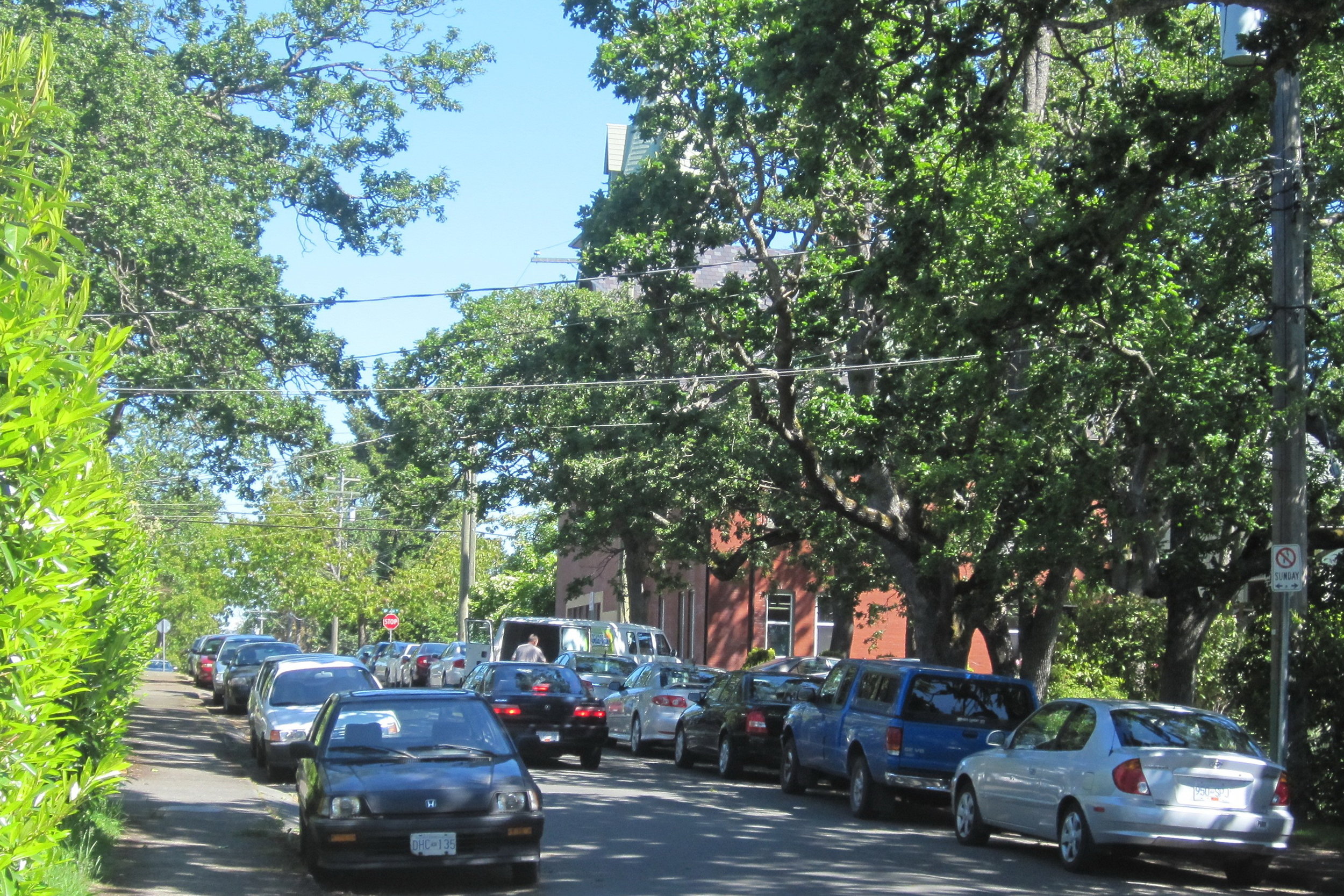 Sue Parking 1.jpg