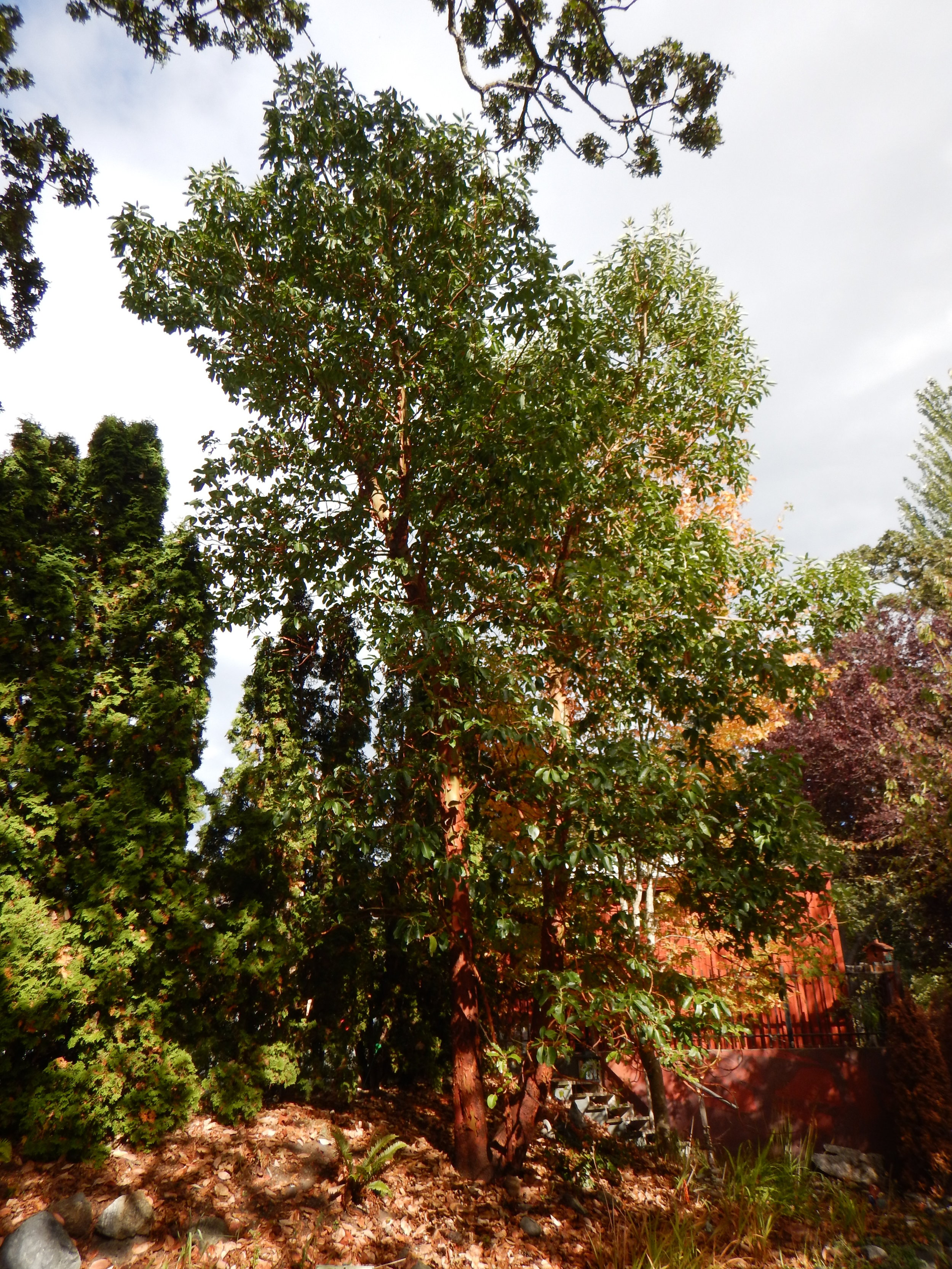 DSCN5448.JPG