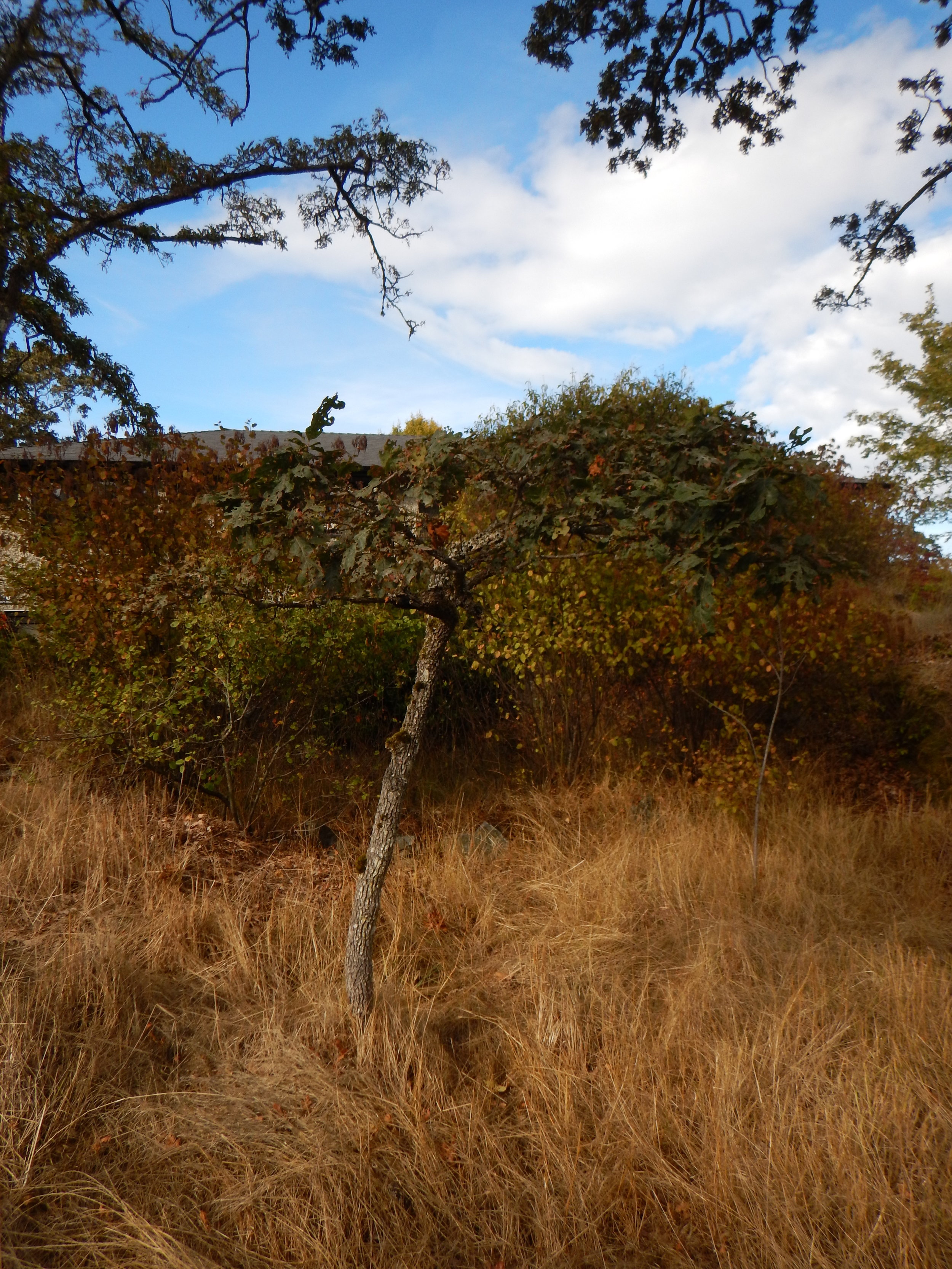 DSCN5452.JPG